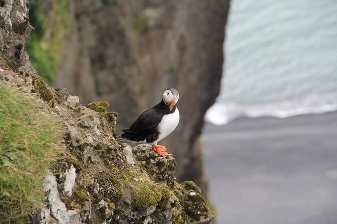 Glacier Lagoon, Diamond Beach, Black Sand Beaches and Waterfalls - Reynisfjara black sand: stunning views and real wave danger