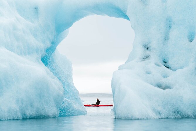 Glacier Lagoon Kayaking - Wildlife Moments: Seals and Birds Aren’t Guaranteed