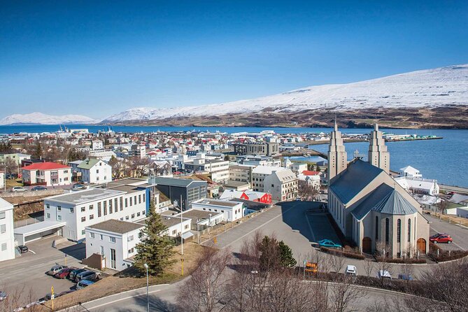 Goðafoss Waterfall from Akureyri Port - Timing and pacing for cruise passengers: when this tour makes the most sense