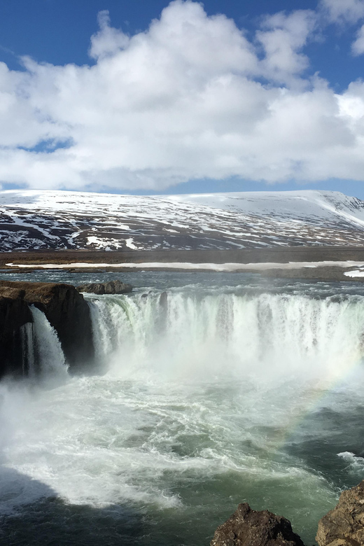Godafoss Waterfall Short Day Tour from Akureyri Port - Who this tour suits best, and who might want something longer
