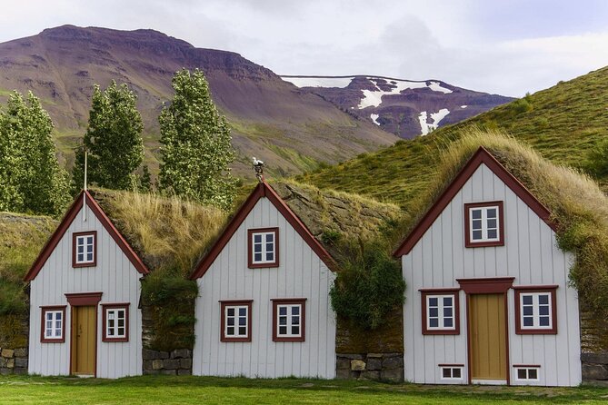 Godafoss Waterfall & Turf House Half-Day Tour from Akureyri Port - Key highlights to know before you go