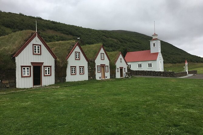 Godafoss Waterfall & Turf House Half-Day Tour from Akureyri Port - Price and what you truly get for $137