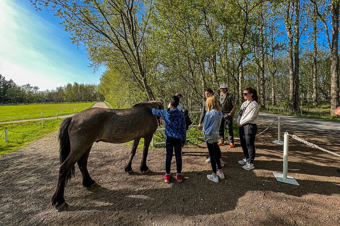 Golden Circle and Lunch at Fridheimar Tomato Farm - with photos - Guide and group size: why it matters on a long day