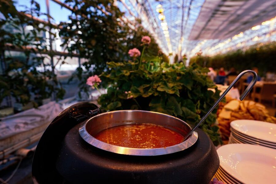Golden Circle & Lunch at Fridheimar Tomato Farm- with photos - Reykjavik Pickup and the Small-Group Pace