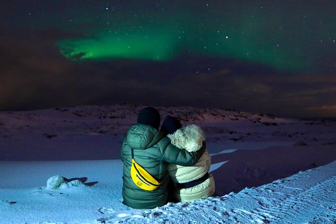 Golden Circle & Northern Lights Tour from Reykjavik - Reykjavik pickup, timing, and the reality of a long day