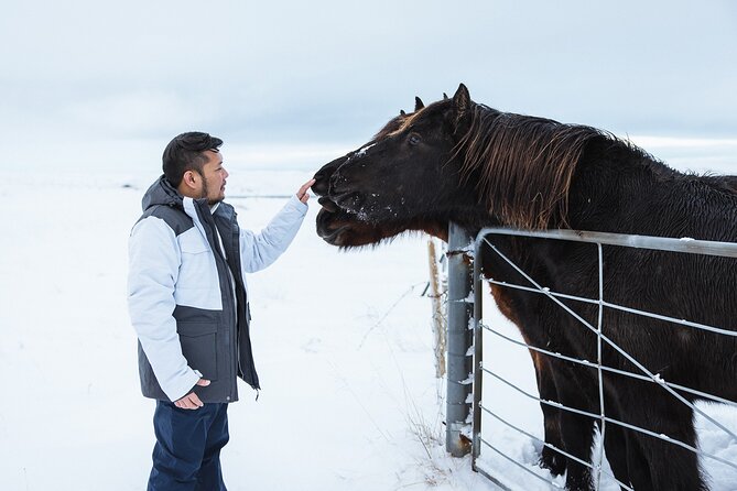 Golden Circle | Private Tour | PRO Photo Package - Private van Golden Circle, plus Reykjavik pickup and a real photo plan
