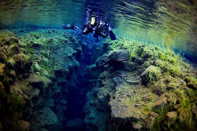 Golden Circle & Silfra Snorkeling Small-Group Supersaver Combo - Þingvellir National Park: the above-water tectonics moment