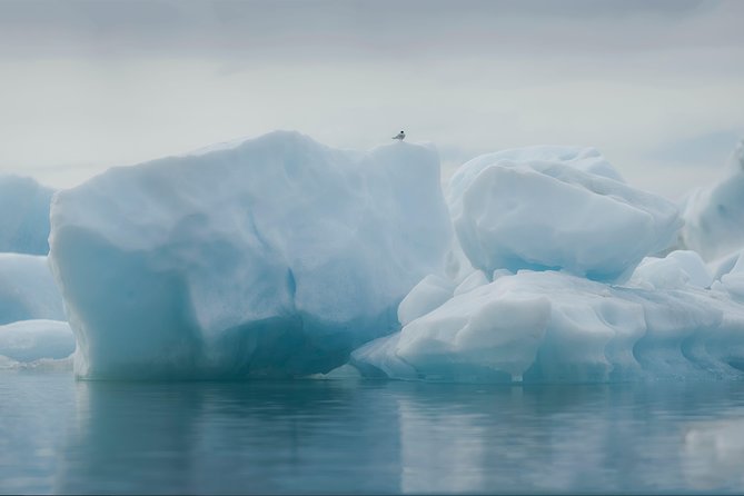 Guided Glacier Lagoon and Diamond Beach Day Trip from Reykjavik - Seljalandsfoss and the Aurora Hunt: Walk Behind the Water, Then Chase Light