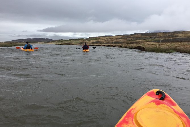 Guided Sit on Top Kayak Tour near Akureyri - Price and What You Really Get for $79