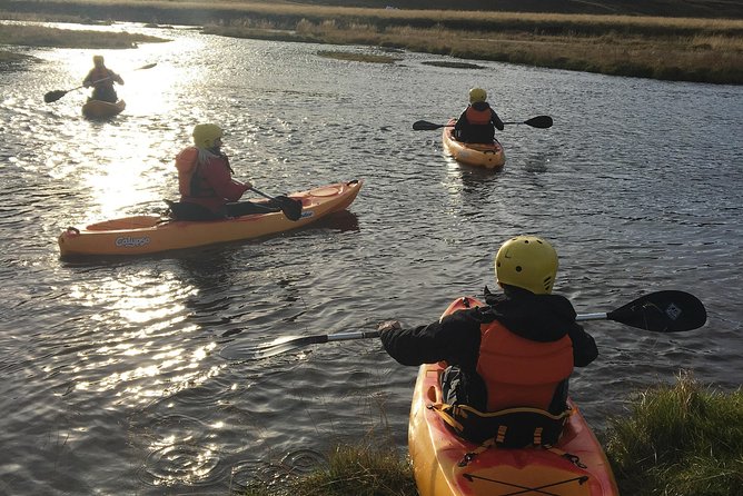 Guided Sit on Top Kayak Tour near Akureyri - Paddling the Svartá River: Gentle Water, Wildlife Chances, and Horse Country
