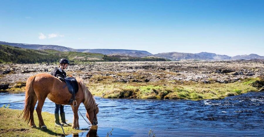 Hafnarfjörður: Horseback Riding Tour in Reykjavik Area - Key highlights worth planning for