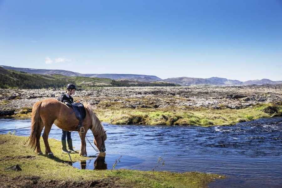 Hafnarfjörður: Horseback Riding Tour in Reykjavik Area - The 50-minute ride: mossy lava, riding paths, and Bláfjöll views