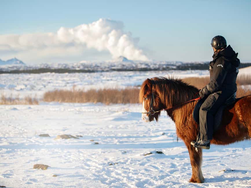 Hafnarfjörður: Horseback Riding Tour in Reykjavik Area - After the ride: warm drinks and a chance to linger at the stables
