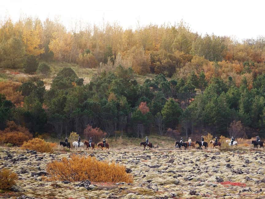 Hafnarfjörður: Horseback Riding Tour in Reykjavik Area - Who should book this Hafnarfjörður horse ride?