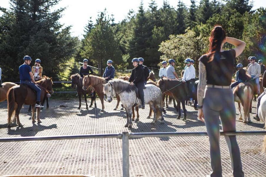 Hafnarfjörður: Horseback Riding Tour in Reykjavik Area - Practical tips: what to bring and what not to