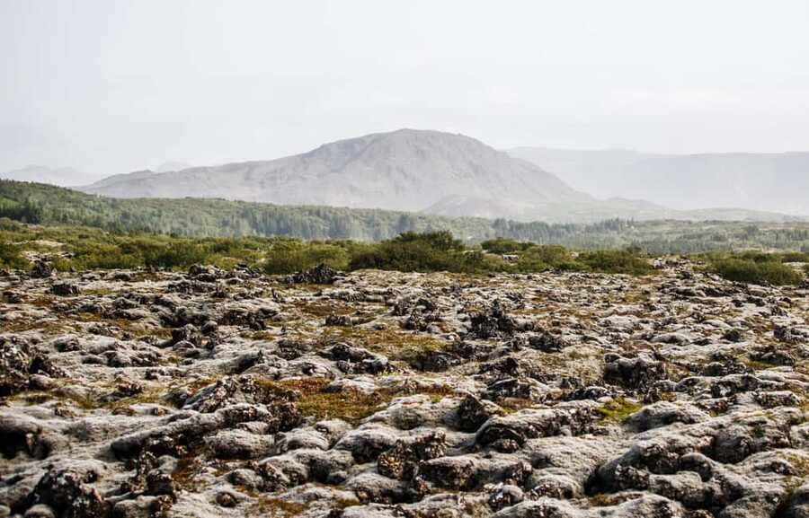 Hafnarfjörður: Horseback Riding Tour in Reykjavik Area - Should you book this Íshestar horseback tour near Hafnarfjörður?