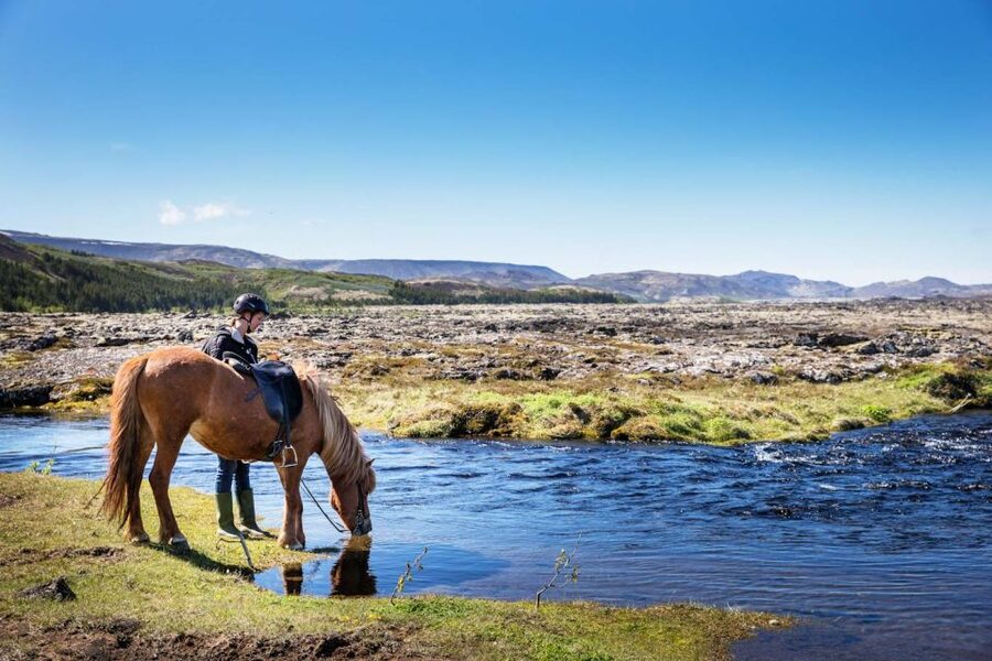 Hafnarfjörður: Horseback Riding Tour in Reykjavik Area - Beginner training, helmets, and boots that actually help