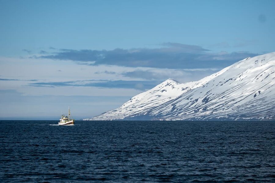 Hauganes: Whale Watching North Iceland - Starting at Hafnargata 2, then easing into the cruise