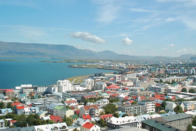 Helicopter tour from Reykjavik: Hengill Area with at site landing - Hellisheiðarvirkjun and Nesjavallavirkjun from above