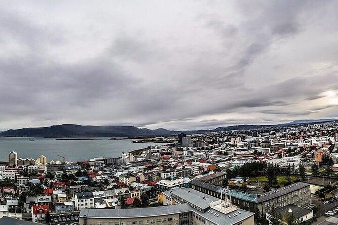 Helicopter Tour: Reykjavik City with landing at Mount Esja - Reykjavik City Views From Above: Rooftops, Parks, Harbor, and Neighborhood Layout