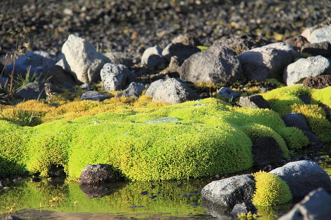 Highlights of Iceland / private guided super Jeep tour - Husafell timing: a mid-day pause that keeps the day moving