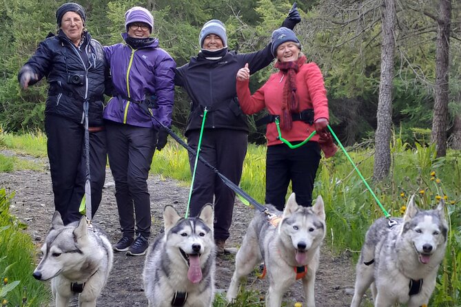 Hiking with Husky in Akureyri - Key things to know before you go
