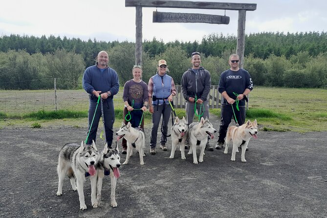 Hiking with Husky in Akureyri - North Iceland huskies, the real family way