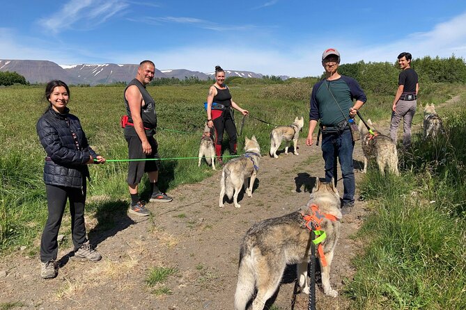 Hiking with Husky in Akureyri - Price and value: is $138.17 worth it?