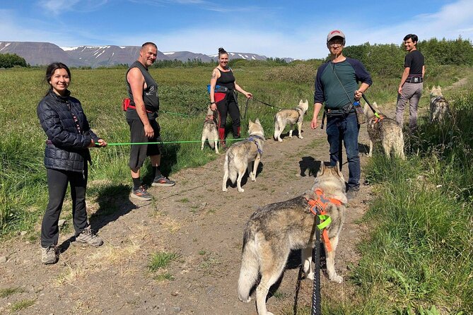 Hiking with Husky in Akureyri (private) - Finding goHusky, meeting Gunni and Maria, then setting off