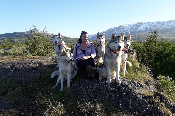 Hiking with Husky in Akureyri (private) - Coffee break at the farmhouse: meeting more dogs and learning husky care