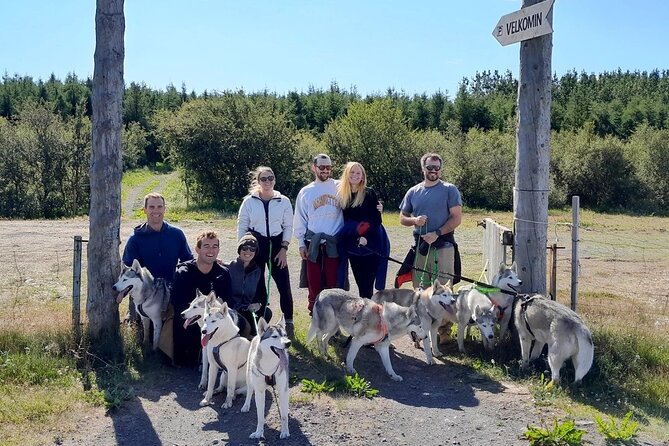 Hiking with Husky in Akureyri (private) - Price and logistics: why private is worth it here