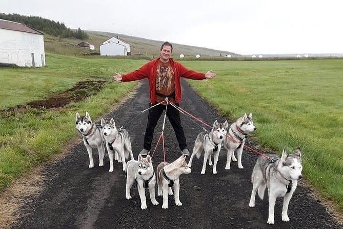 Hiking with Husky in Akureyri (private) - Best season reality: hiking depends on conditions, not promises