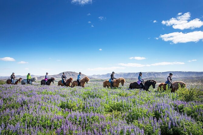 Horseback Riding Tour in Iceland - The ride route: moss-covered lava fields and Bláfjöll panoramas