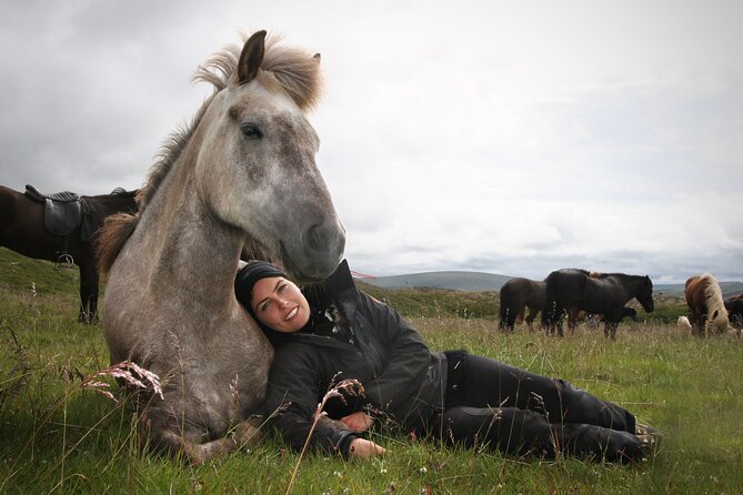 Horseback Riding Tour in Iceland - Getting to know the Icelandic horse, not just the saddle