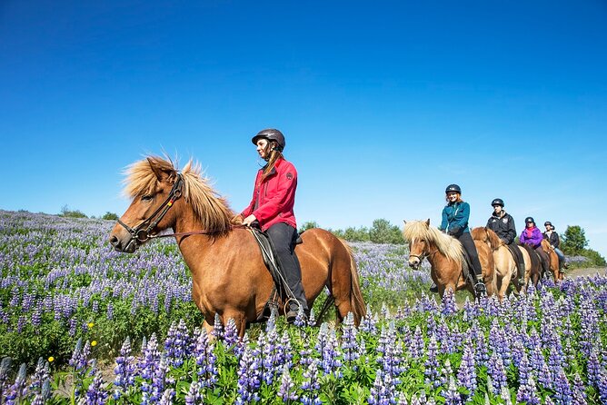 Horseback Riding Tour in Iceland - How the guide experience can make or break a horse ride