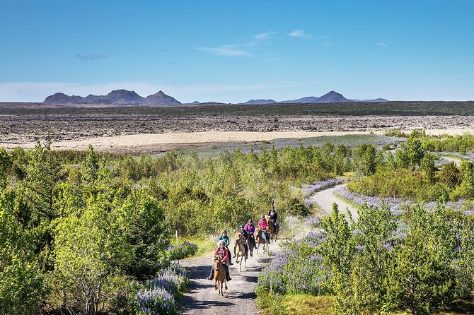 Horseback Riding Tour in Iceland - Entering Ishestar: the gear that lets you ride, not worry