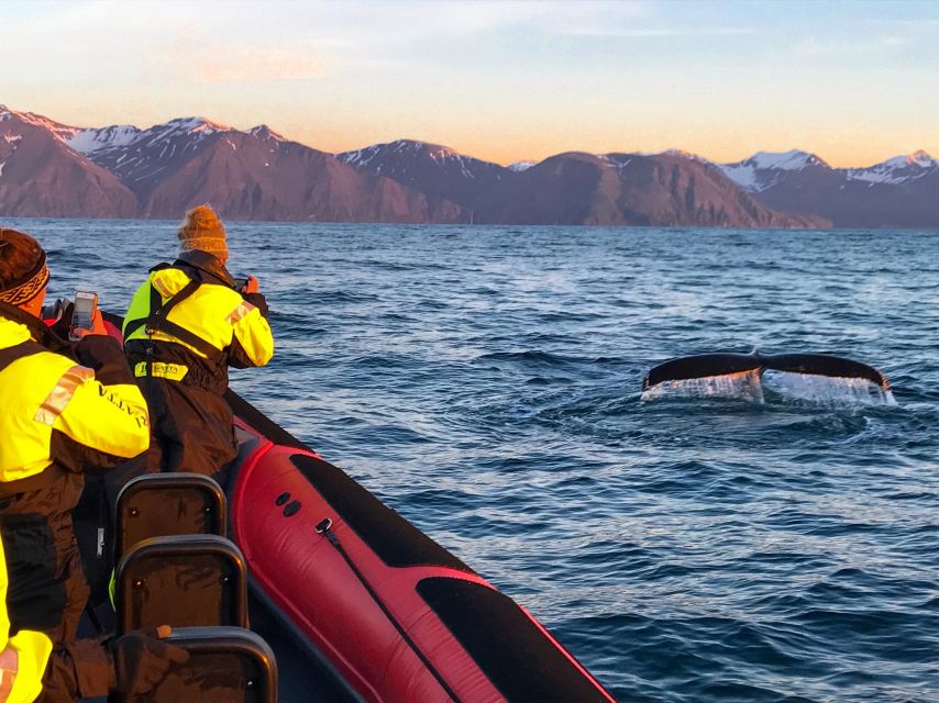 Húsavík: Big Whales and Puffin Island Speedboat Tour - Meeting at Hafnarstétt 11 and getting kitted up in Iceland weather