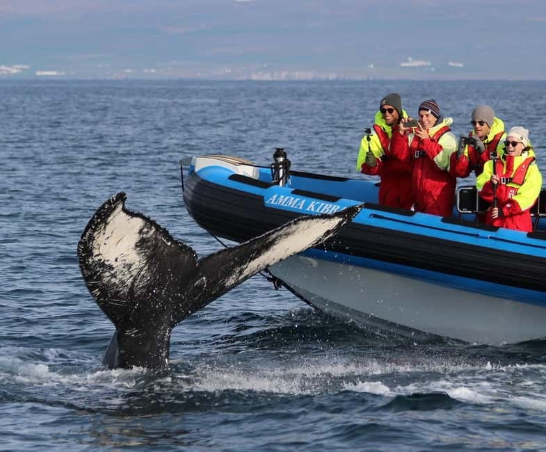 Húsavík: Original Big Whale Safari & Puffins by Speedboat - Getting ready at Gentle Giants and dressing for the ride