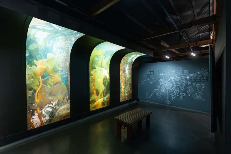 Húsavík: Whale Museum Entry Ticket - Your visit flow: making sense of 8 exhibition spaces