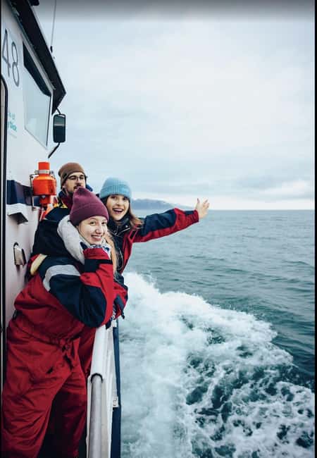 Húsavík: Whale Watching – Family Run with Indoor Seats - Indoor Seating Makes Winter Whale Watching Feel Easy