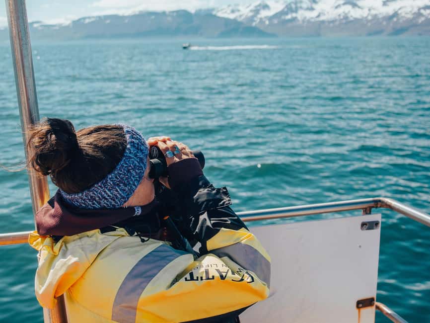 Húsavík: Whale Watching – Family Run with Indoor Seats - Price and Value: Is $96 for 3 Hours Worth It?