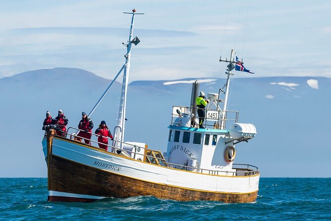 Húsavík Whale Watching Tour, family owned and operated - Key things worth knowing