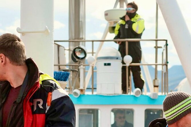 Húsavík Whale Watching Tour, family owned and operated - Staying warm and comfortable: gear, wind, and motion sense