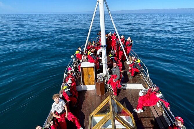 Húsavík Whale Watching Tour, family owned and operated - Getting good sightings: what distance means and why the boat matters