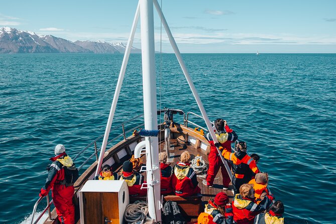 Húsavík Whale Watching Tour, family owned and operated - The 3-hour plan: west toward Kinnarfjöll and across Skjálfandi Bay