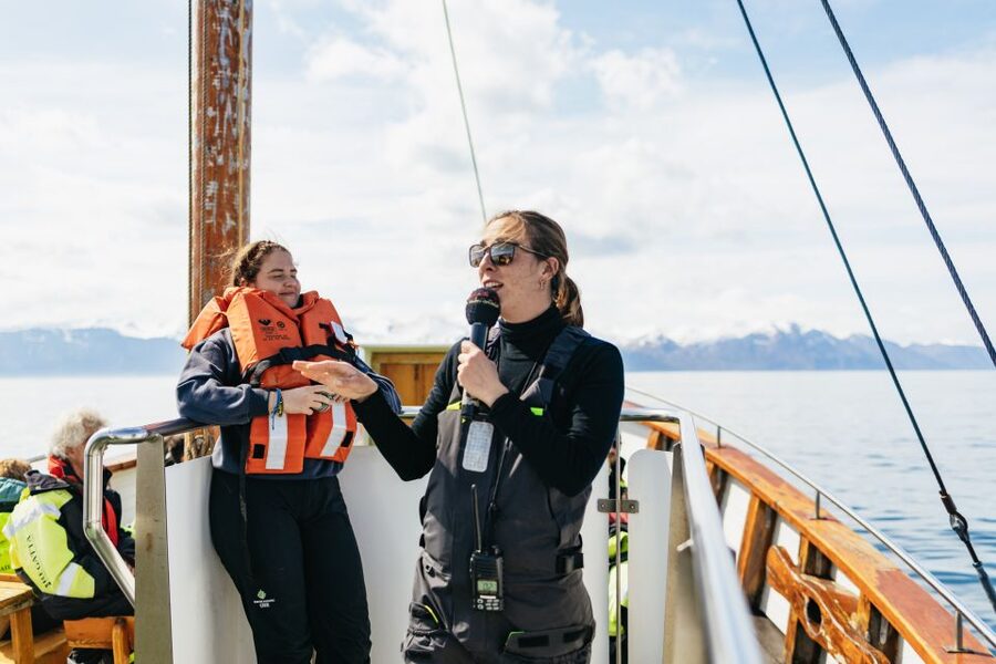 Húsavík: Whale Watching Tour with Guide - Key points before you go