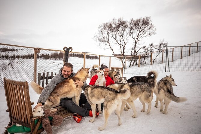 Husky Petting in Akureyri (private) - Key Highlights at a Glance