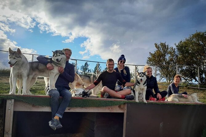Husky Petting in Akureyri (private) - Private Setup: What Your Hour Actually Looks Like