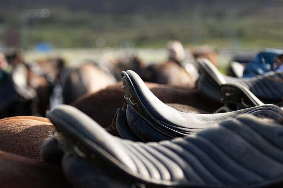Hveragerdi: Countryside Charm Horse Riding Tour - Where Hveragerdi fits, and why this ride feels very Iceland