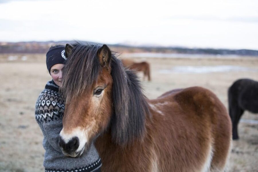 Hveragerdi: Countryside Charm Horse Riding Tour - Price, logistics, and what you get for $96
